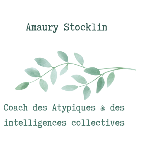 Amaury STOCKLIN Coach professionnel des Atypiques à ORLEANS